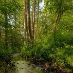 Le Sambre Botel *