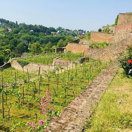 船上ホテル Le Sambre *