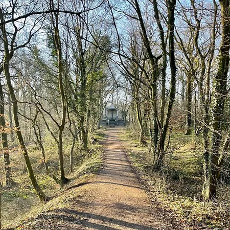 Le Sambre 船上ホテル *